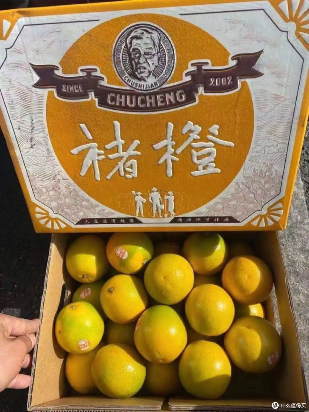 褚橙和实建褚橙的区别,你喜欢吃哪种?