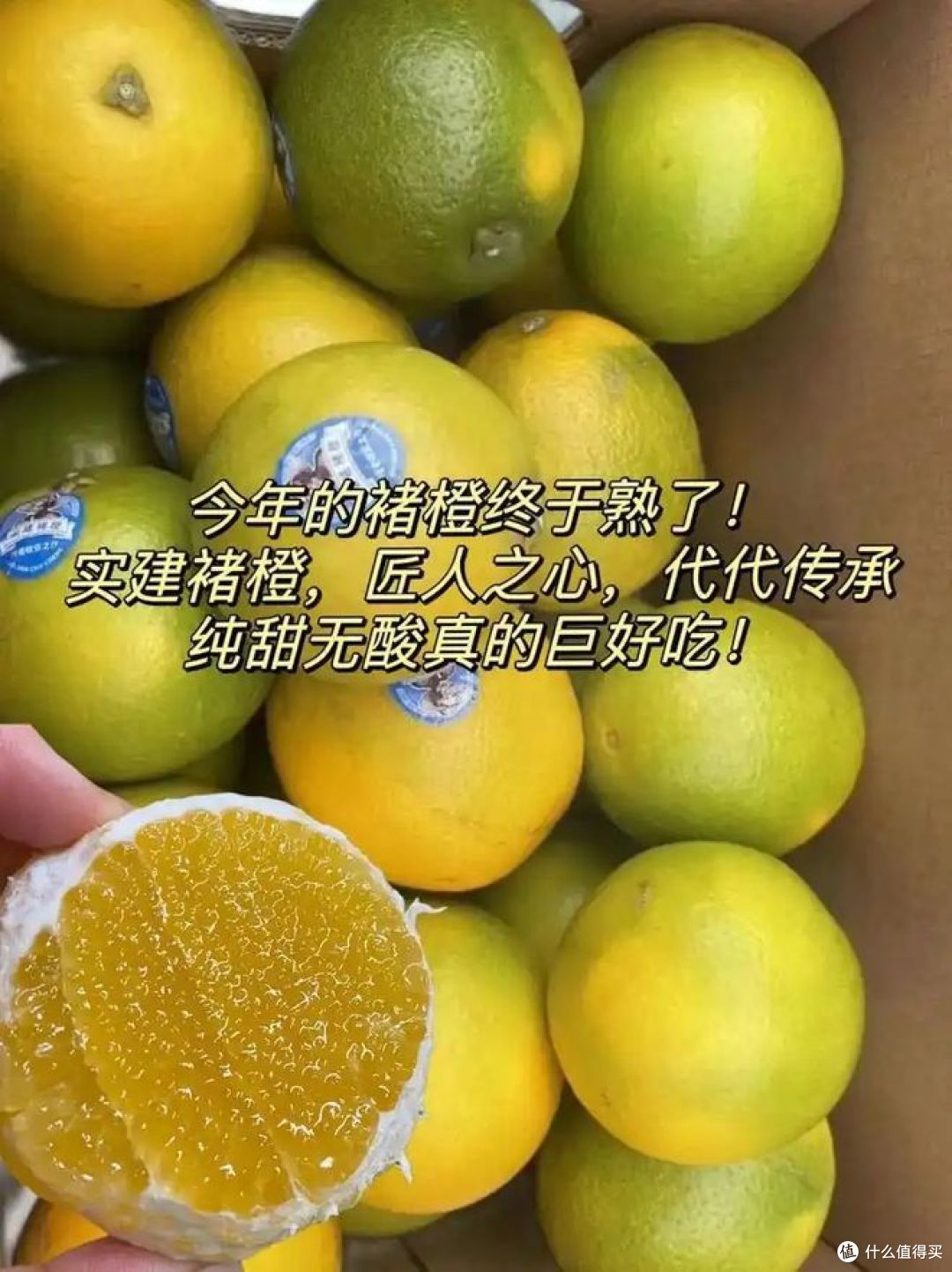 褚橙和实建褚橙的区别,你喜欢吃哪种?