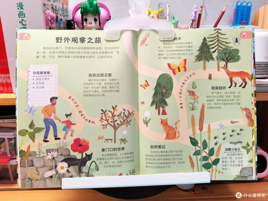 DK出品！实用指南与艺术画册的组合，让孩子了解万物生长的秘密！