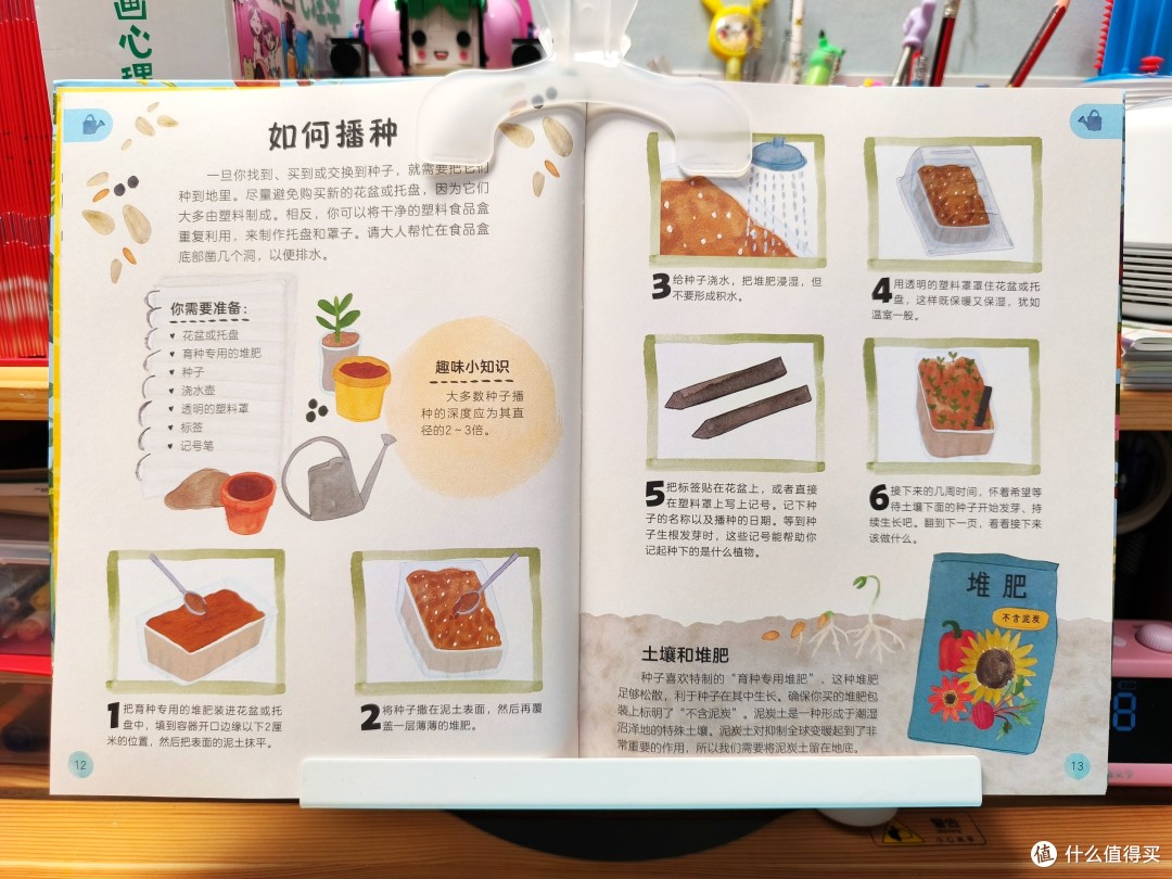 DK出品！实用指南与艺术画册的组合，让孩子了解万物生长的秘密！