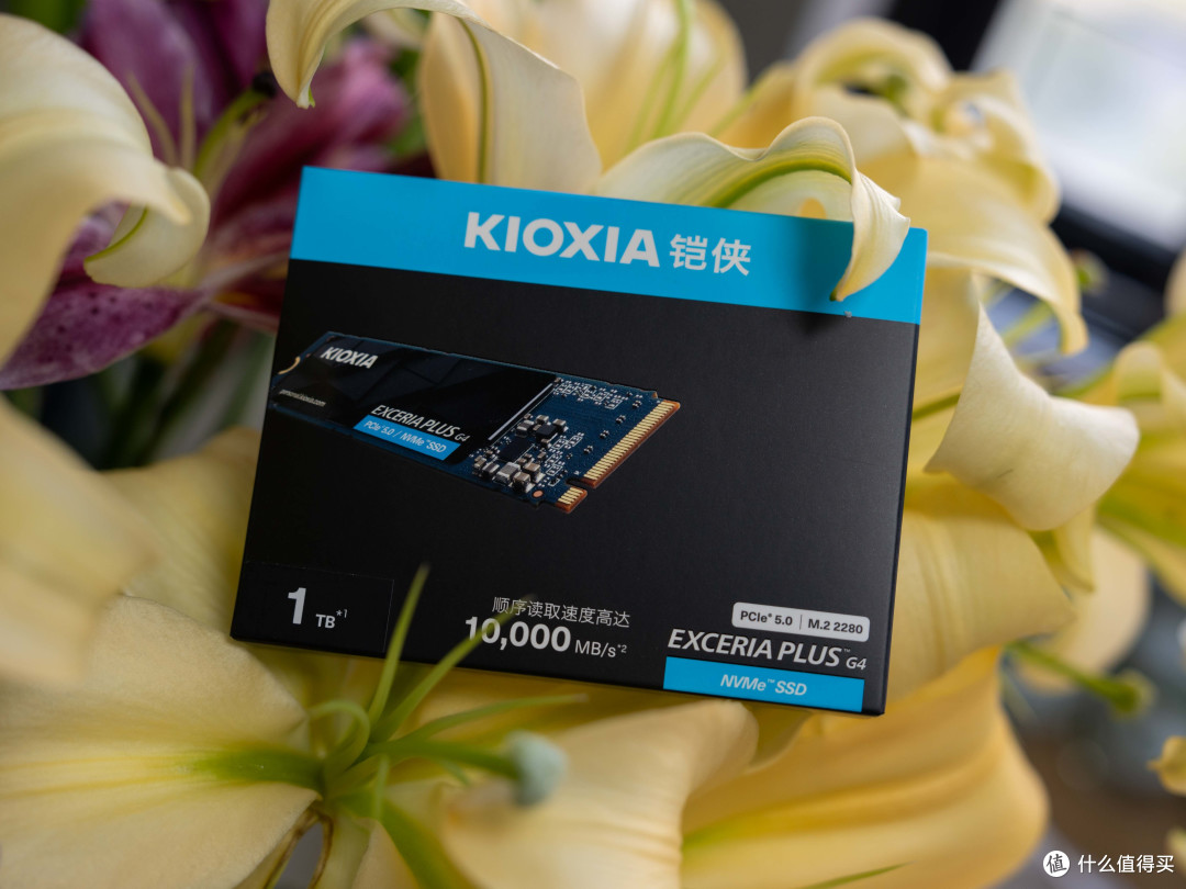 更实用的PCIe 5.0固态硬盘，铠侠极至光速VD10 1TB评测
