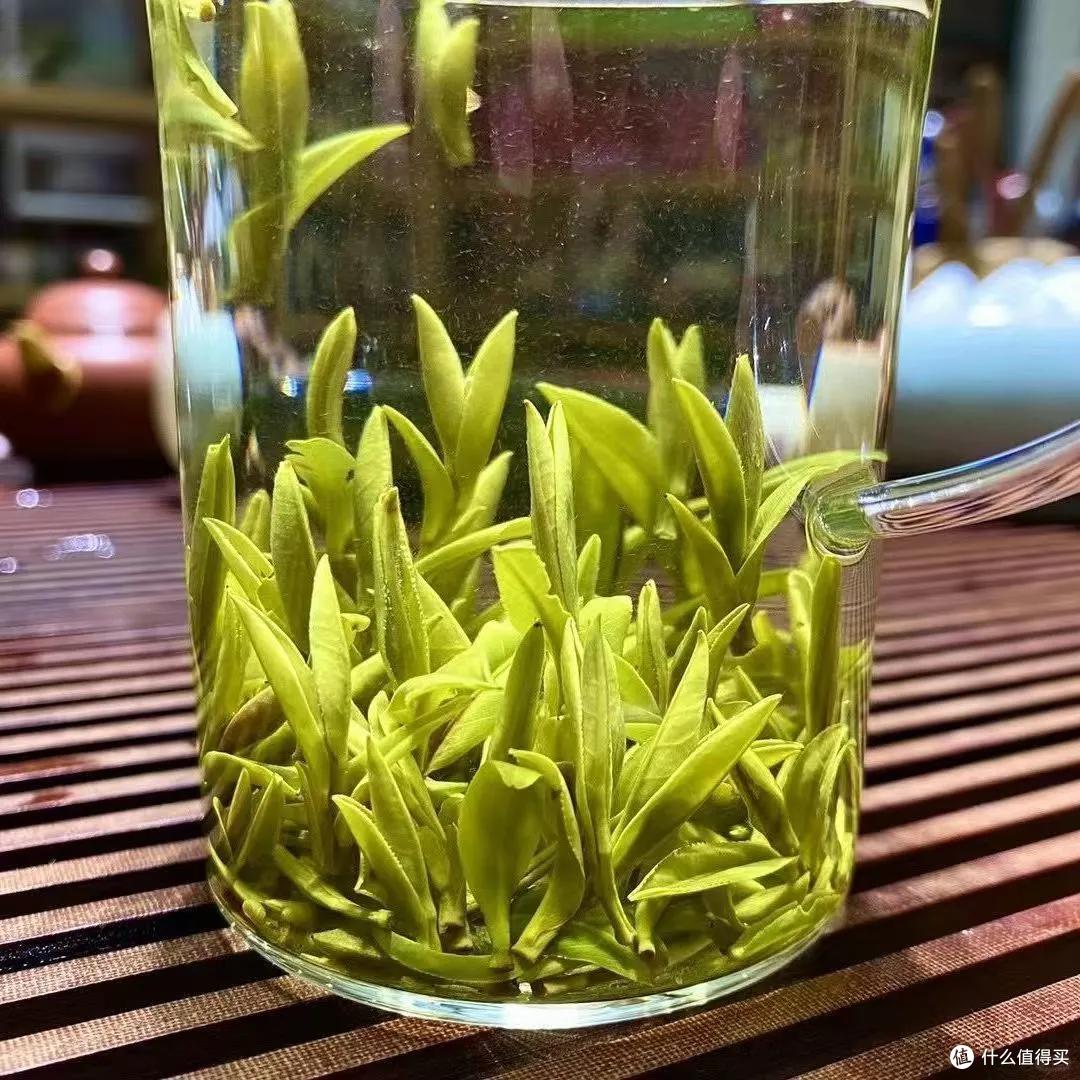 四川茶馆云集，茶叶产量也多，但为什么四川没有特别著名的名茶？