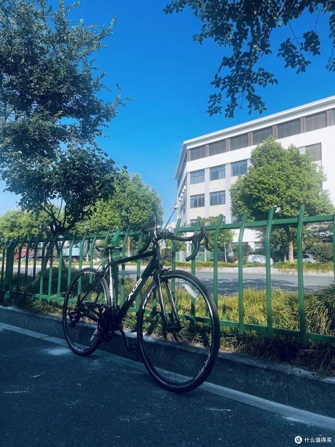 喜德盛RC200:入门级公路自行车性价比天花板