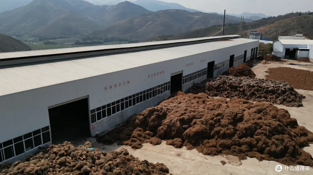 喜报!大自然床垫再获双奖,彰显民族品牌乡村振兴担当