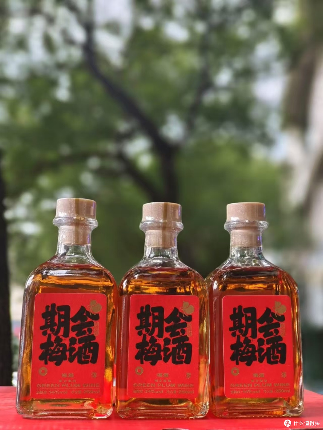 期会梅酒：新年里的暖心佳酿