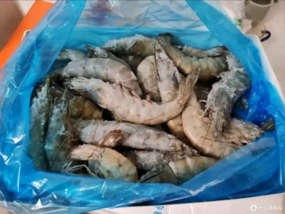 鲜京采厄瓜多尔白虾测评与鉴赏