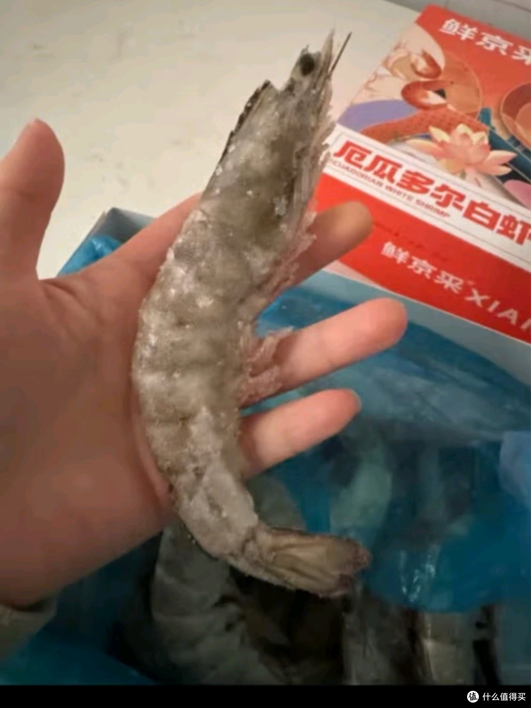 鲜京采厄瓜多尔白虾测评与鉴赏