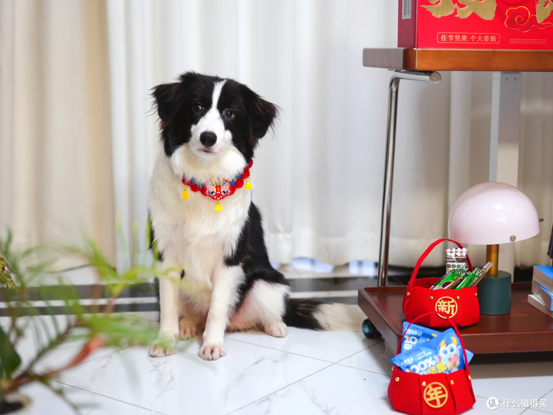 新年红合集!过年带娃这样穿、玩,仪式感拉满