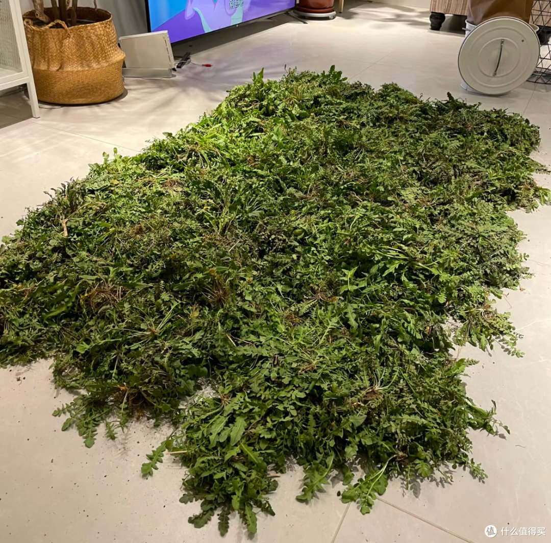 被老妈“生活智慧”惊呆了，看着不太体面，但真省钱啊！