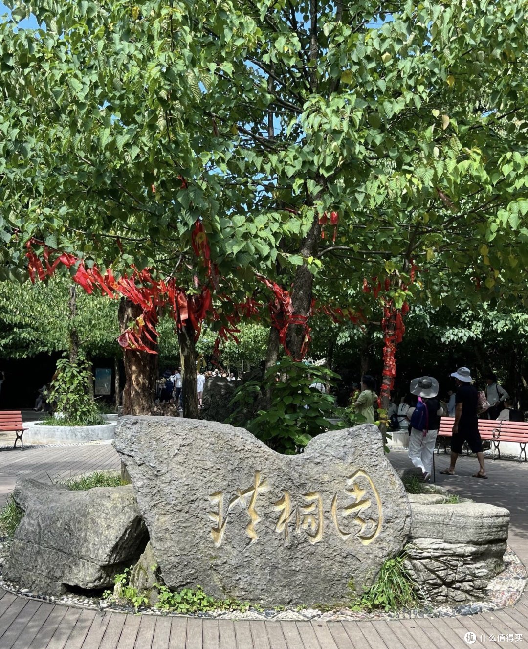 《风云变幻，气象学带你领略自然之美》