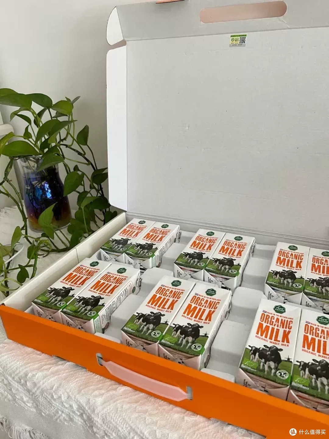 年货囤货不肉疼！省钱秘籍大公开