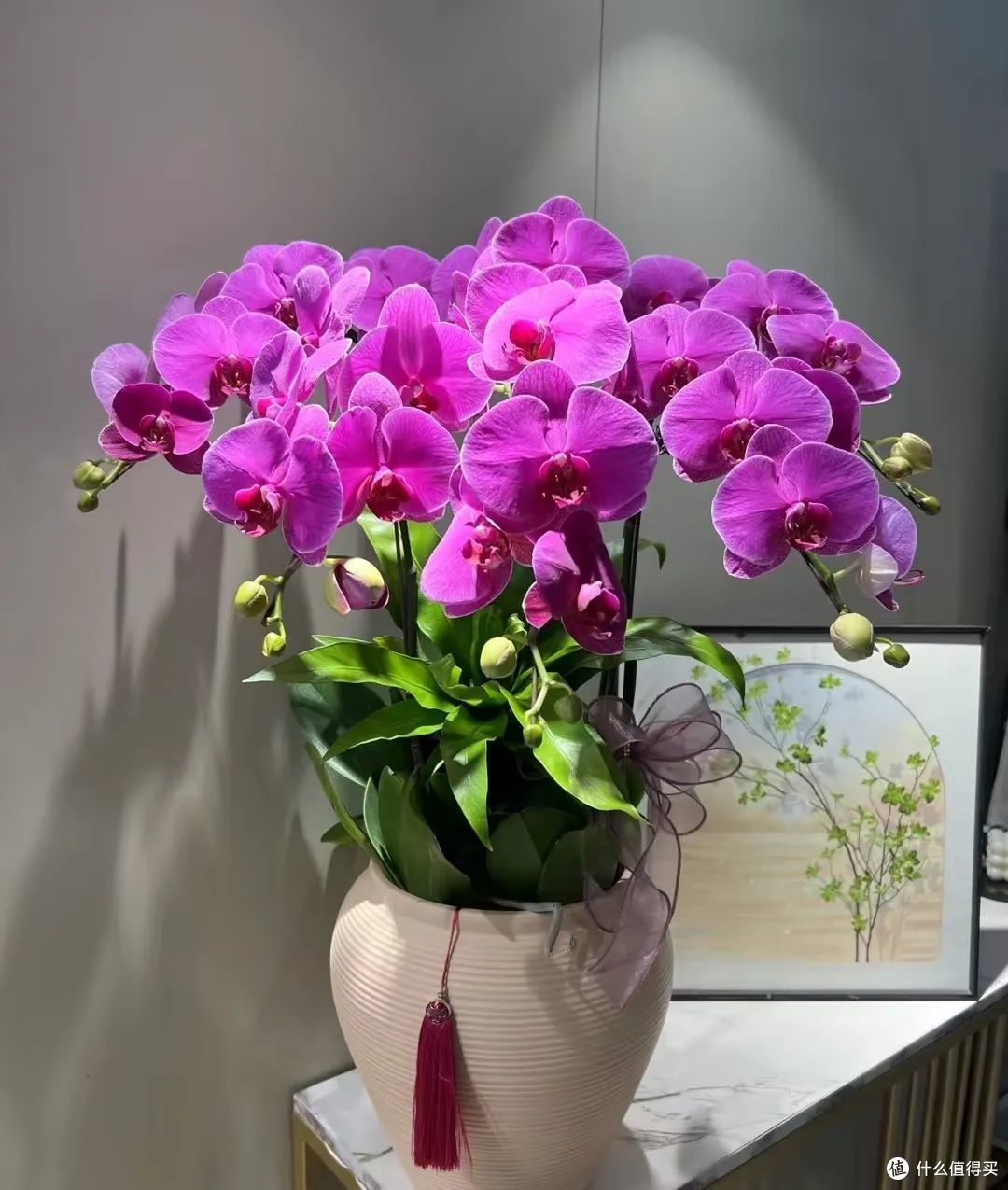 过年,让花久养不死的10条好习惯,花草越旺,人越有福