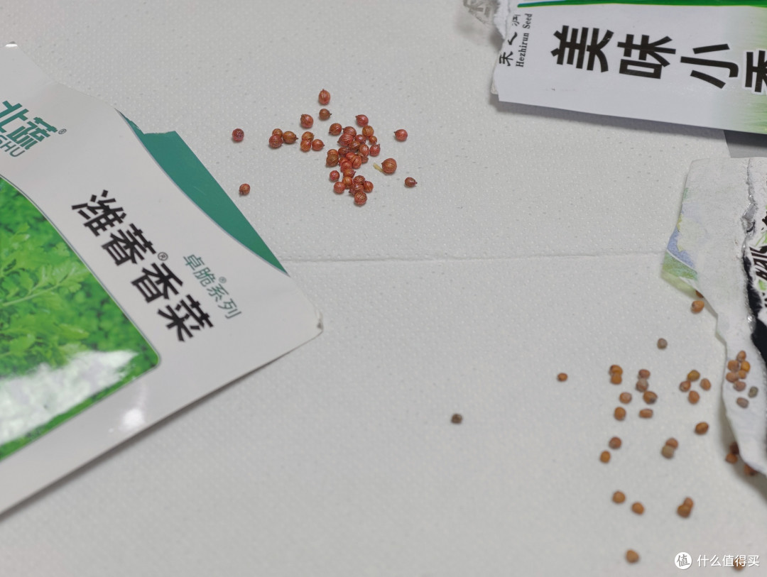 寒假和孩子们一起读《DK万物生长的秘密》_科普/百科_什么值得买