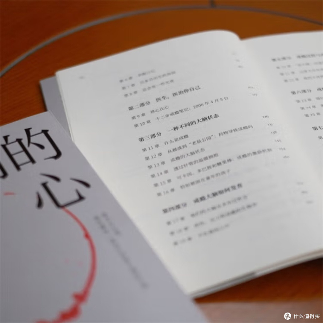 《成瘾心理剖析》