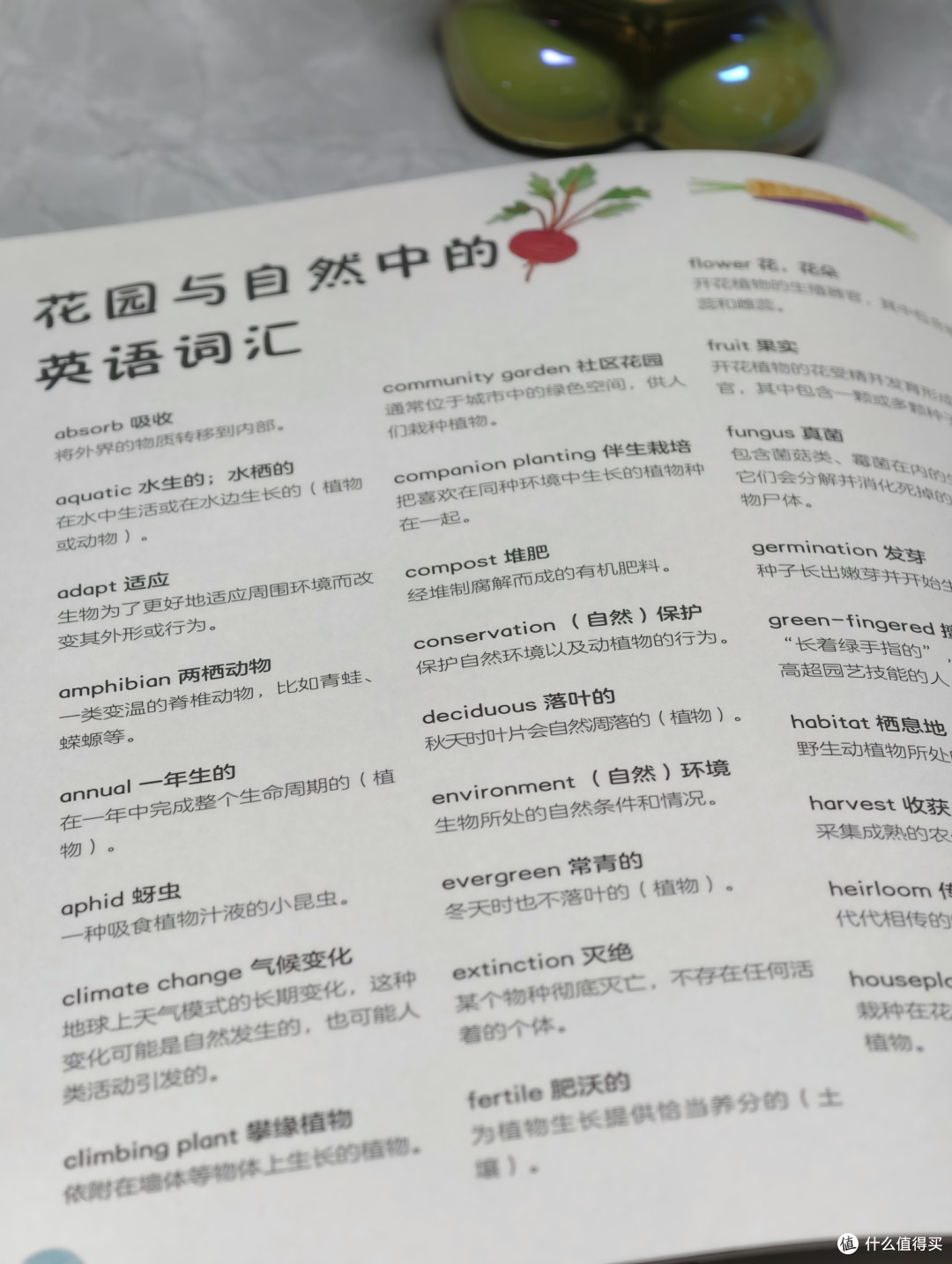 寒假和孩子们一起读《DK万物生长的秘密》