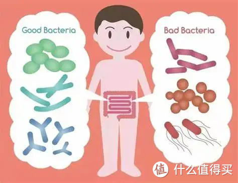 天气干冷、饮食油腻，肠道问题大爆发！益生菌要怎么选？