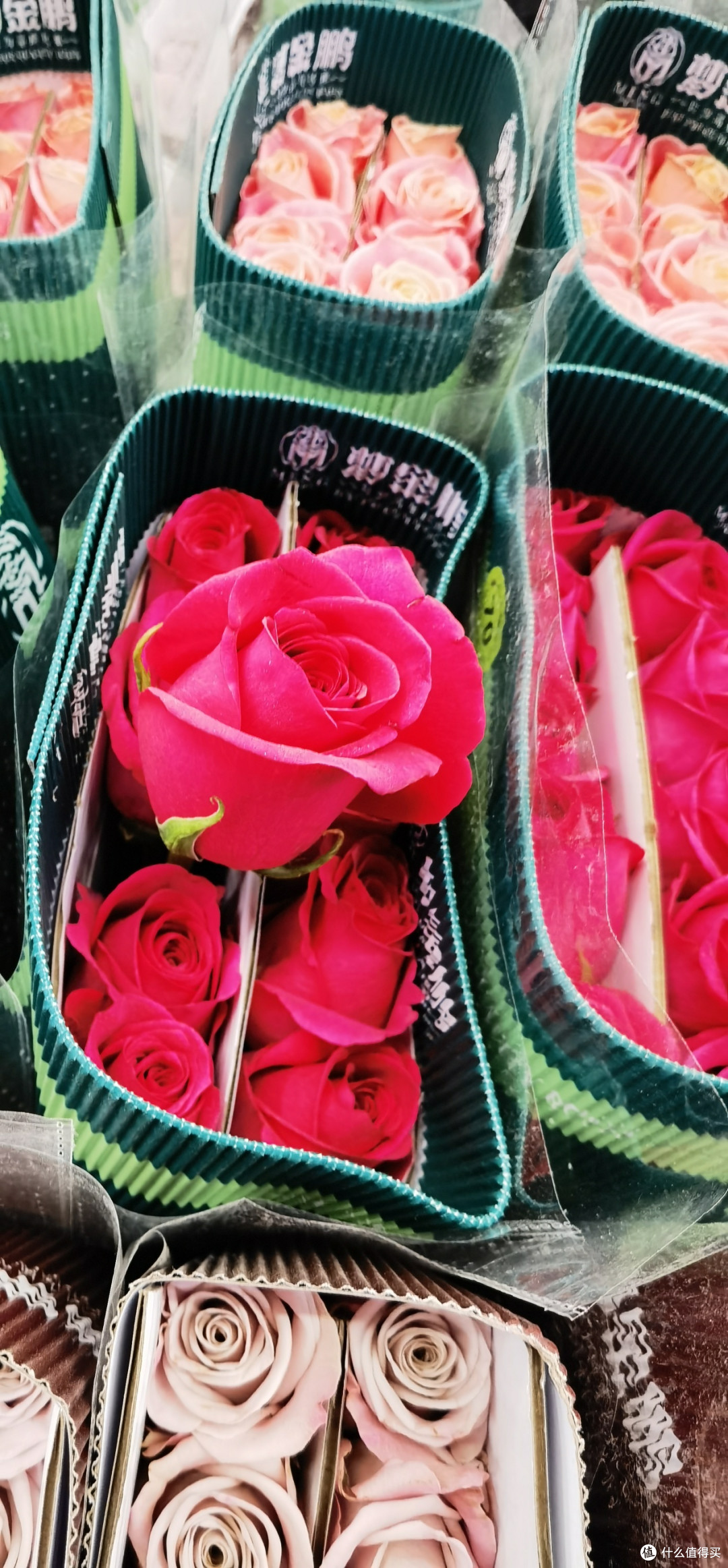 春节巧省钱，浪漫玫瑰这样买——节日购花全攻略