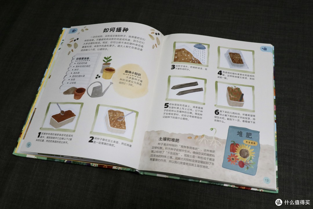 推荐儿童寒假读物,首推《DK万物生长的秘密》