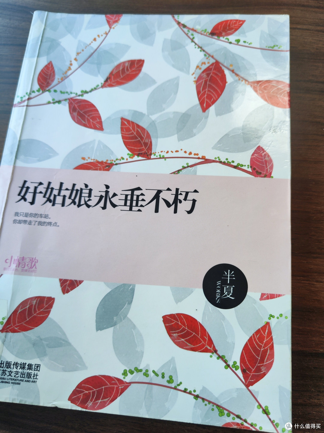 《好姑娘永垂不朽》：书写平凡中的不凡与生命的坚韧