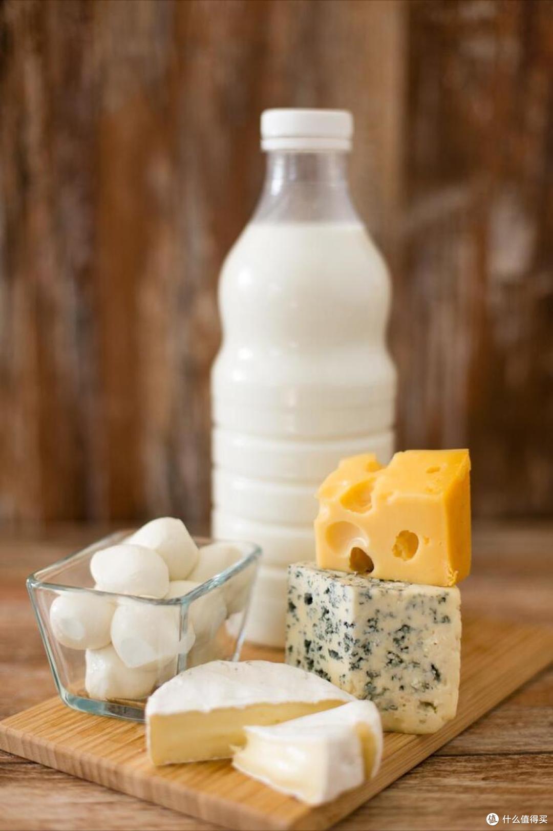 全球有多少种“奶酪”？哪个品种最好吃？今天全读懂，来涨知识了