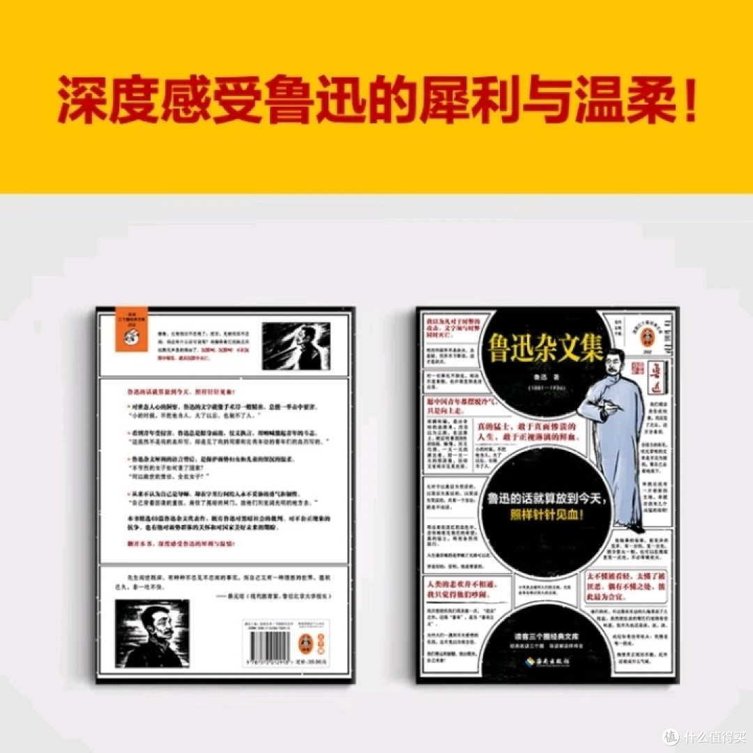 鲁迅杂文集:时代之镜与思想锋芒