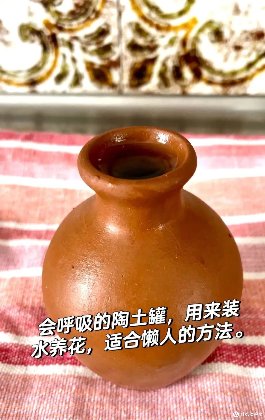 被小姐姐的养花智慧惊呆了，不花1分钱，花草自动浇水，真厉害！