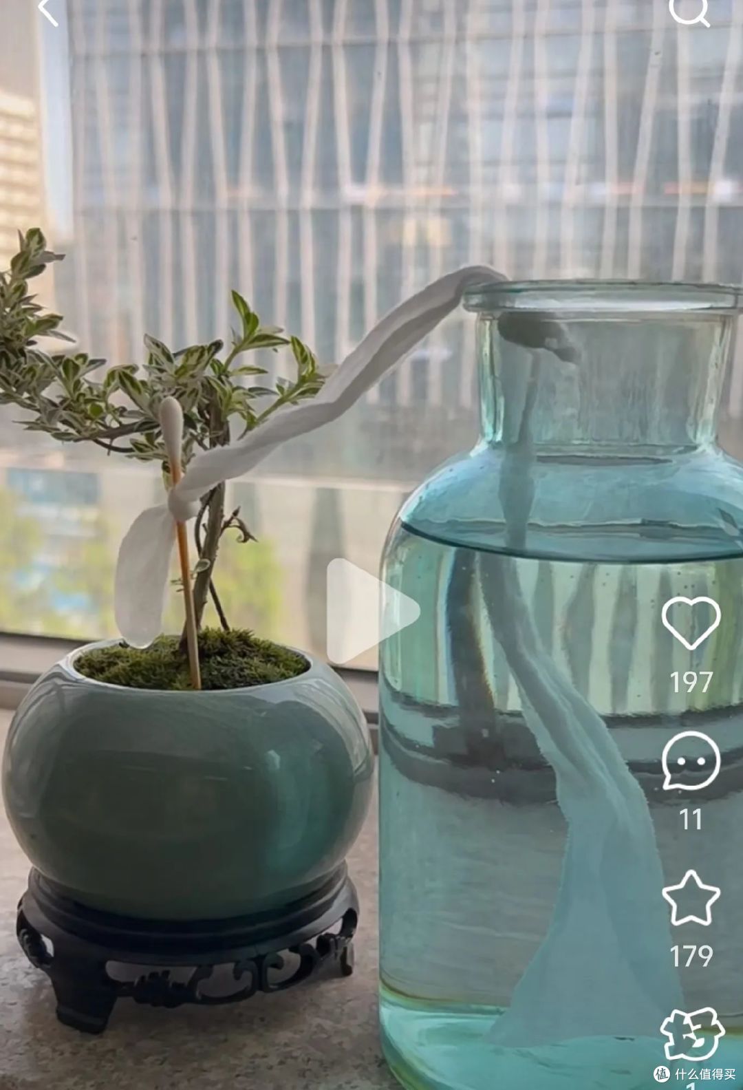 被小姐姐的养花智慧惊呆了，不花1分钱，花草自动浇水，真厉害！