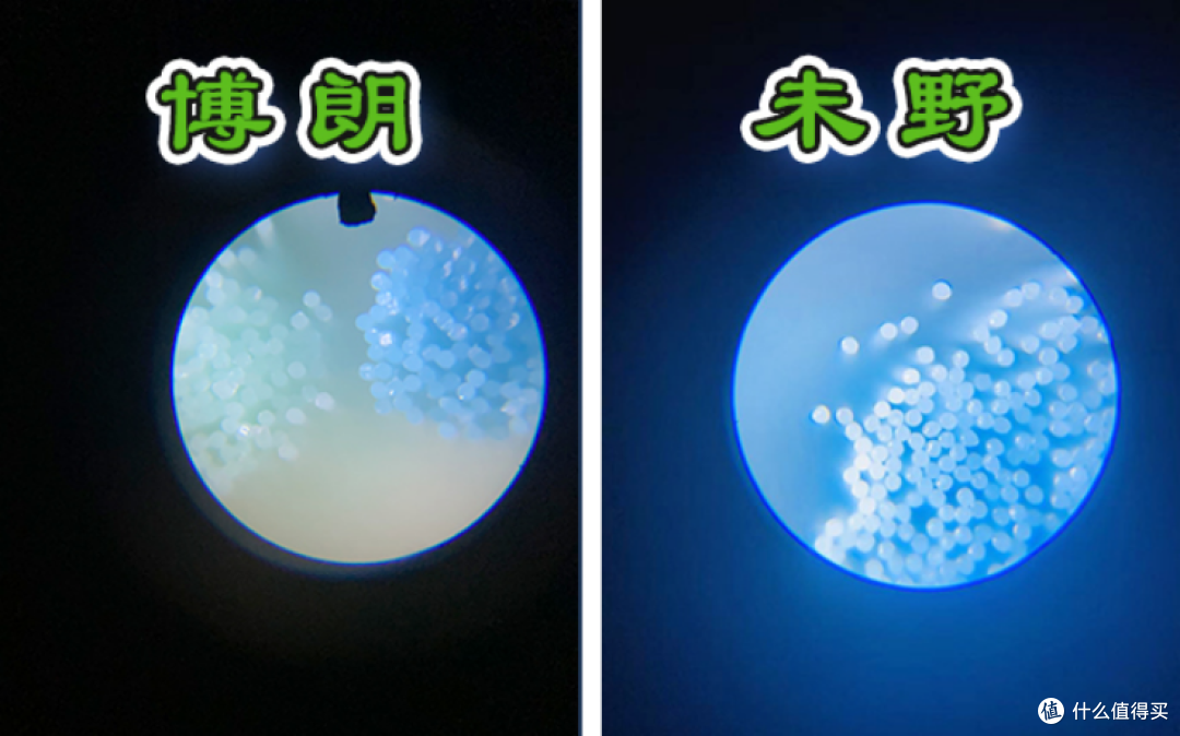 博朗、未野往复式剃须刀好用吗?怎么选?两大阵营测评决斗