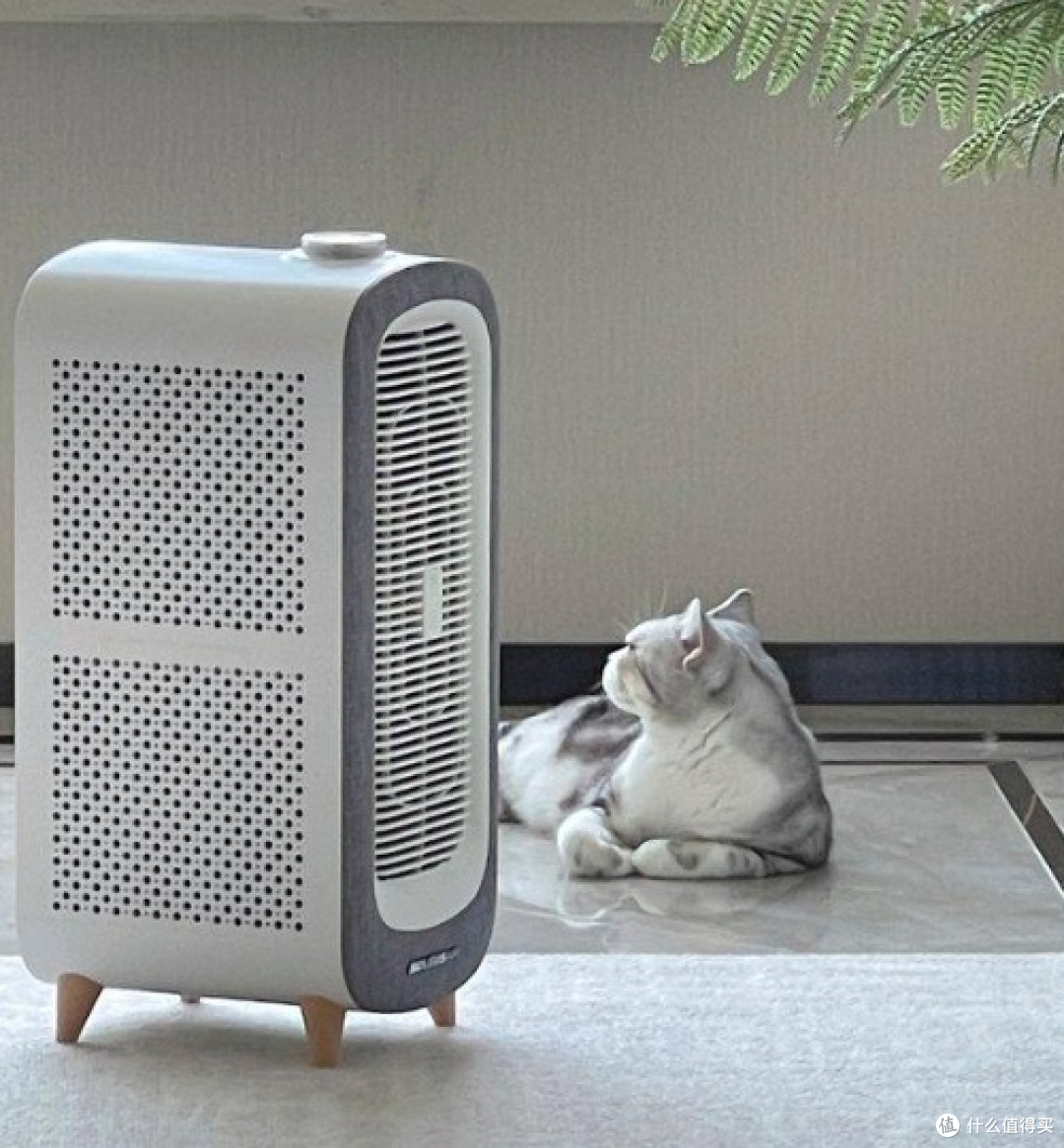 空气净化器能吸走猫毛吗?五款甄选机型测评PK