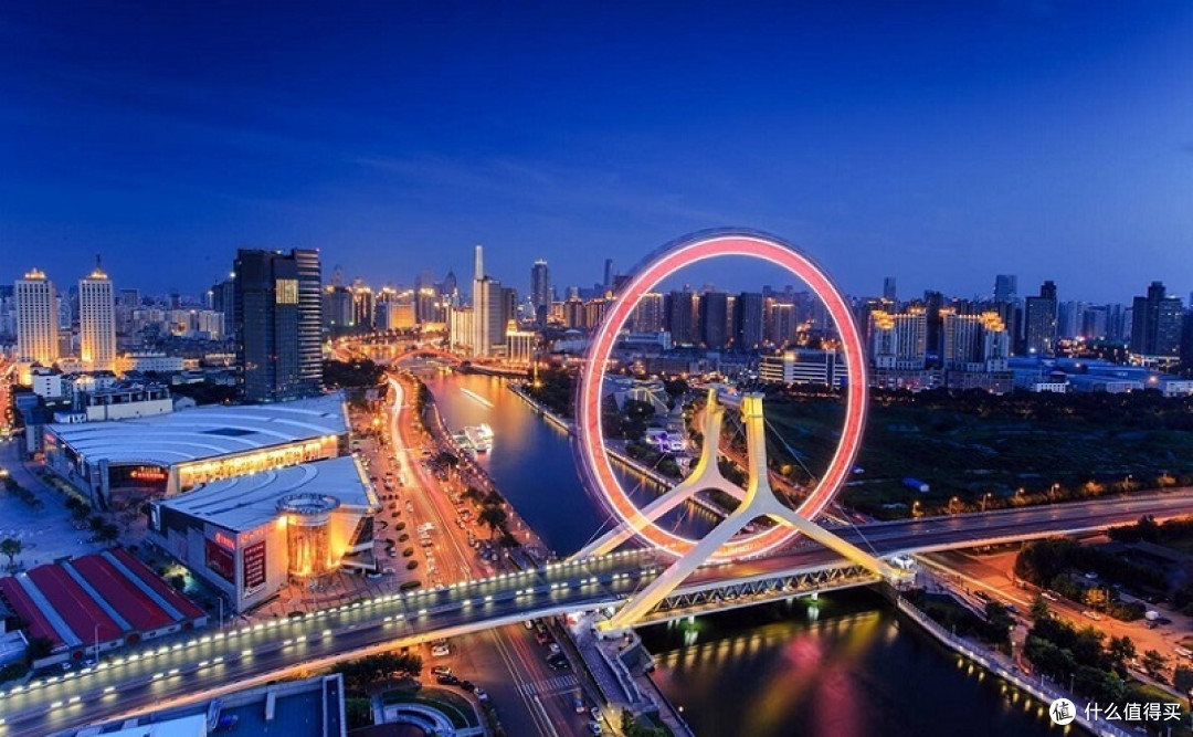 天津观鸥之旅:邂逅冬日浪漫精灵