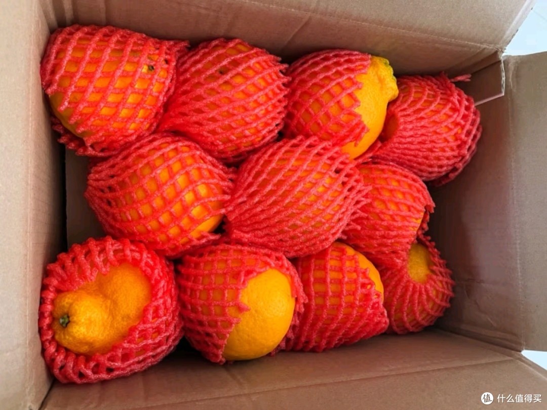 春见耙耙柑种植技术探讨