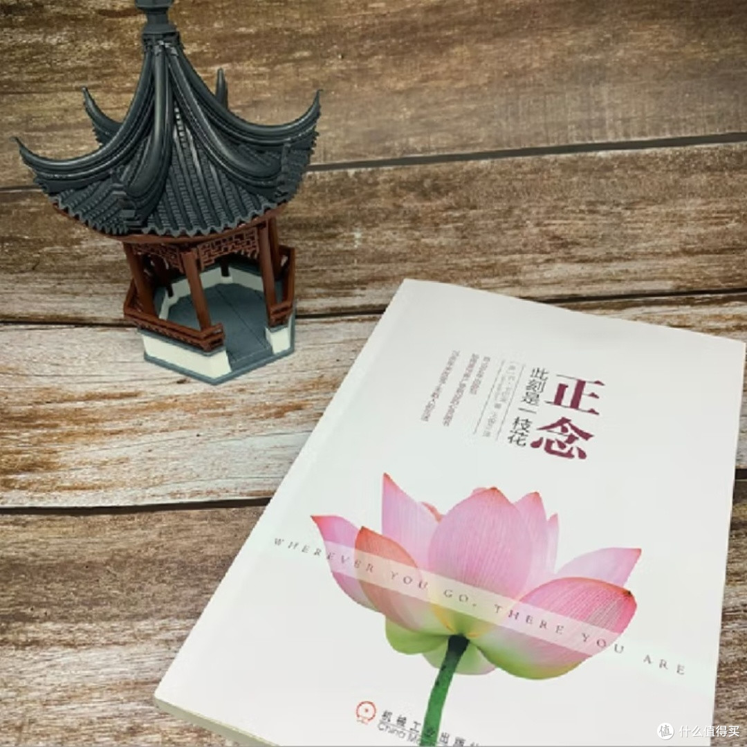 正念的力量:此刻就是美好