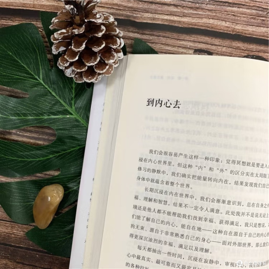 正念的力量:此刻就是美好