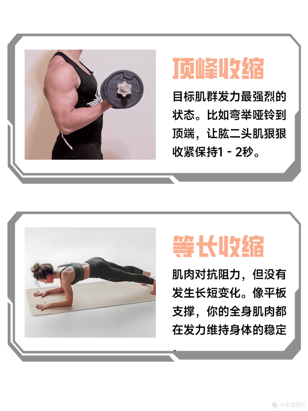不会这些健身黑话,都不好意思说自己在健身~