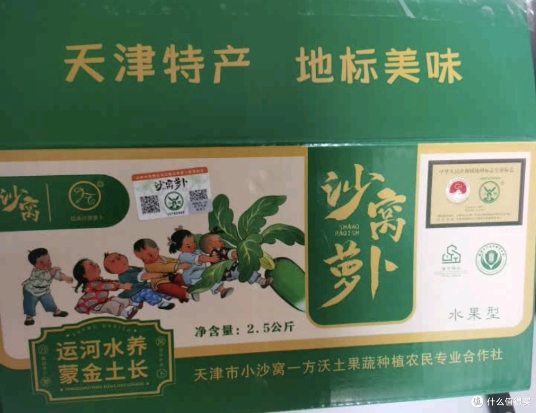 冬吃萝卜夏吃姜，冬天的萝卜长得真水灵啊