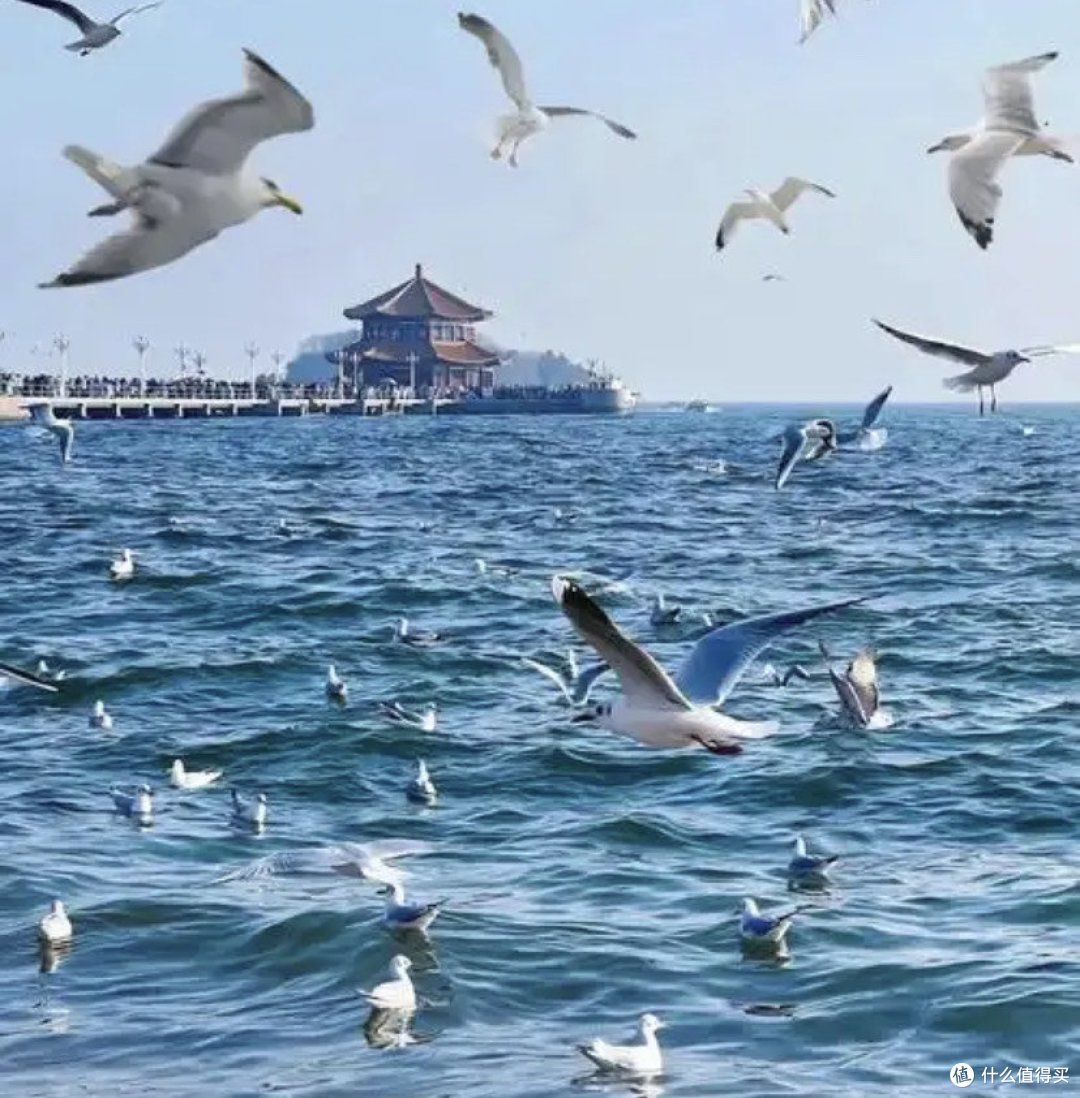 春节哪里去?清秀的海边青岛春节游玩攻略