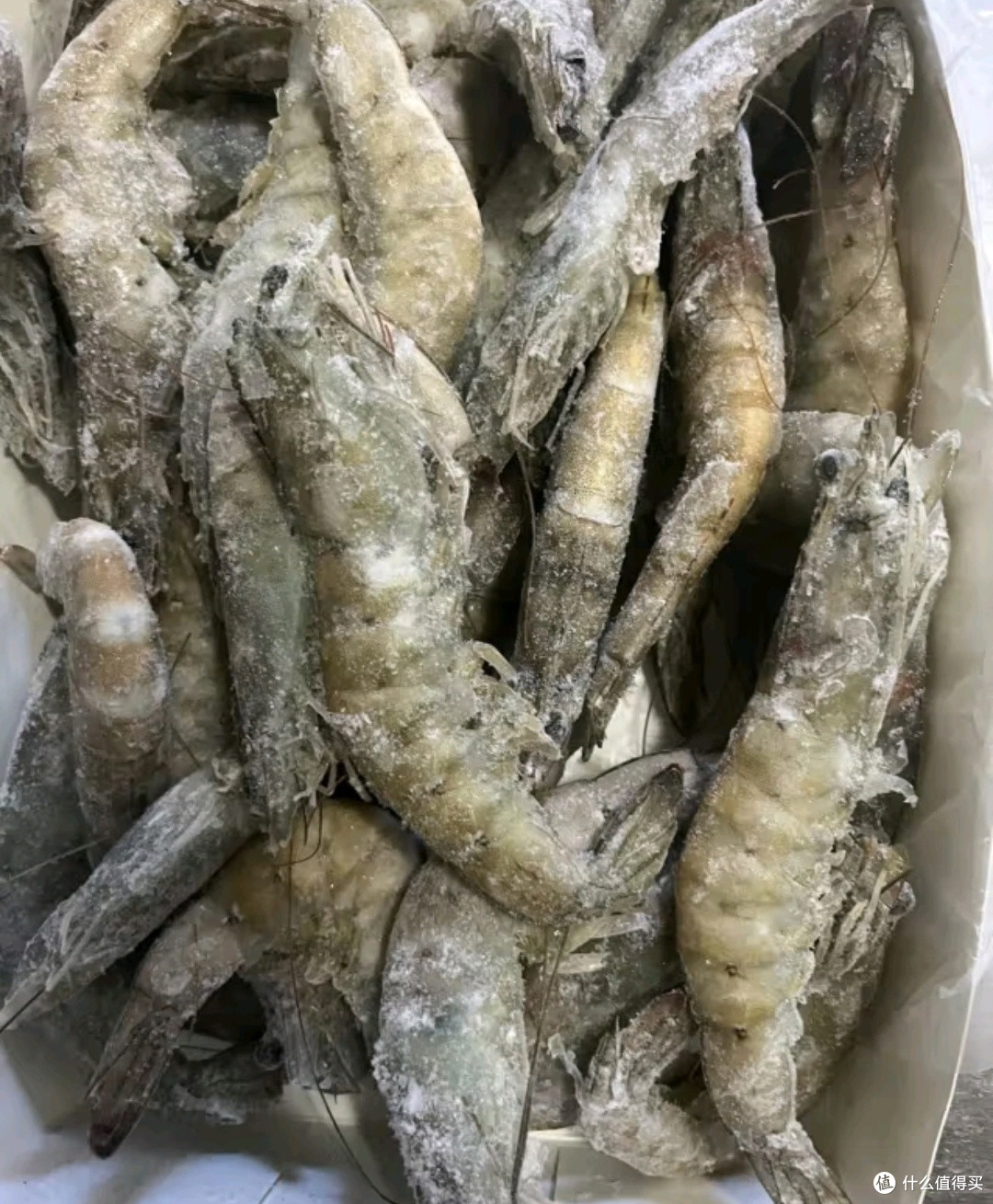 年夜饭创意菜:鲜京采厄瓜多尔白虾点亮餐桌✨