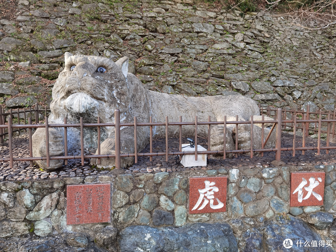 2025的第一场旅行，寒假早鸟飞霓虹