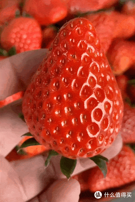 🍓冬日甜蜜:在草莓的芳香中品味健康与美味