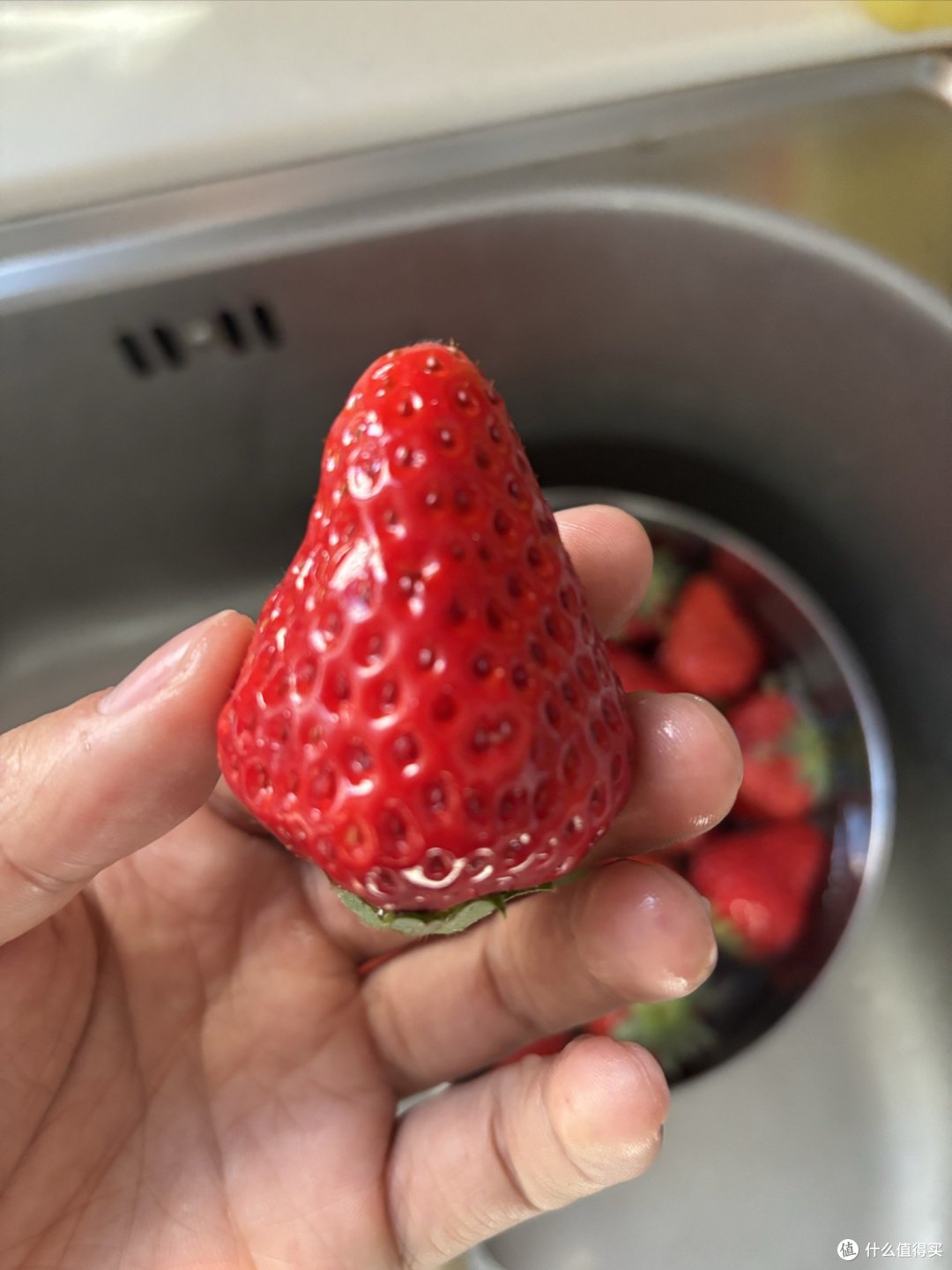大草莓的诱惑,你抵挡得住吗?