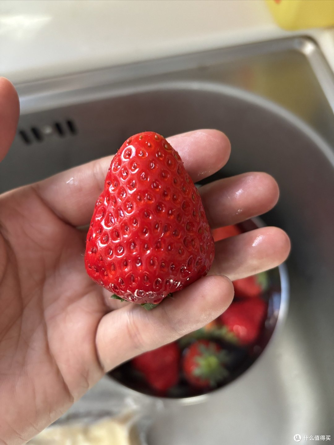 大草莓的诱惑,你抵挡得住吗?
