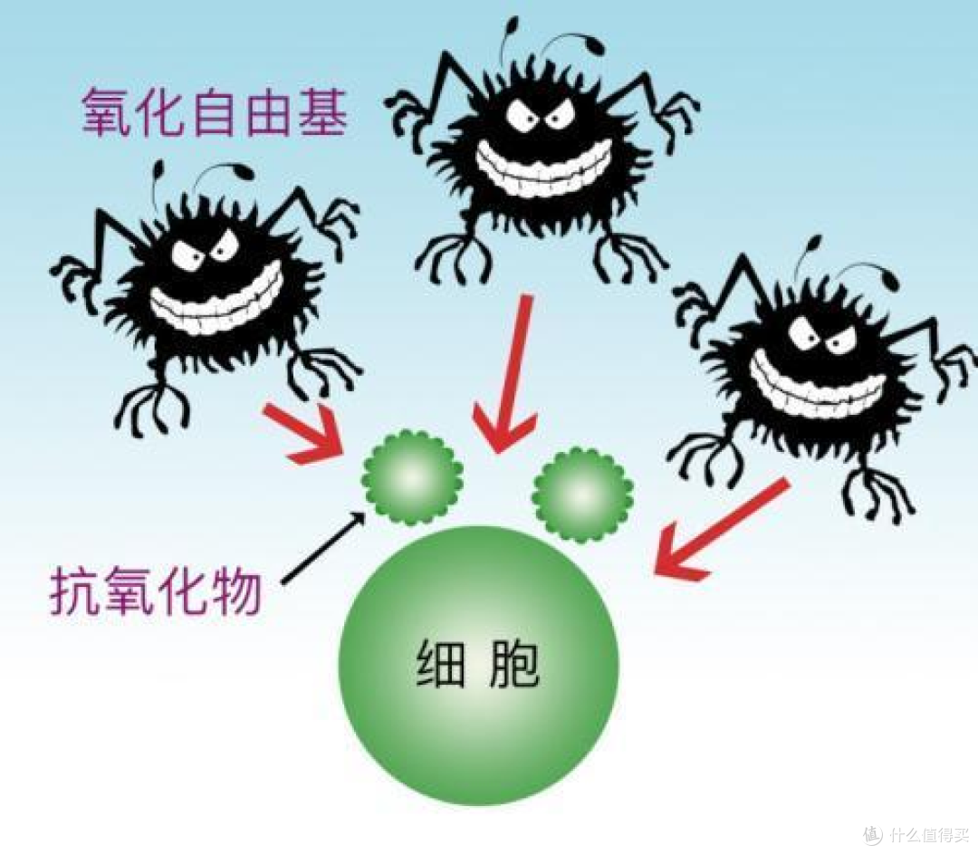 小酒怡情,大酒伤身,过年切不可贪杯哦~