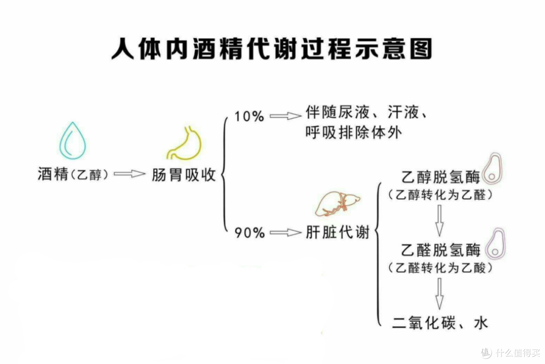 小酒怡情,大酒伤身,过年切不可贪杯哦~