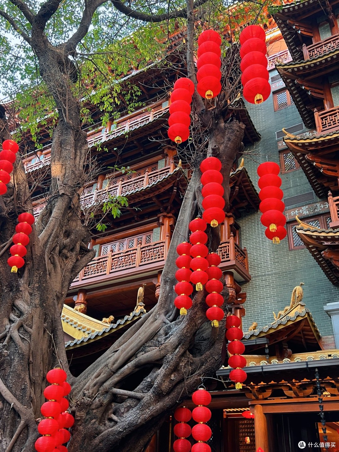 逛花市拜千年古寺,广州的年味超绝🏮