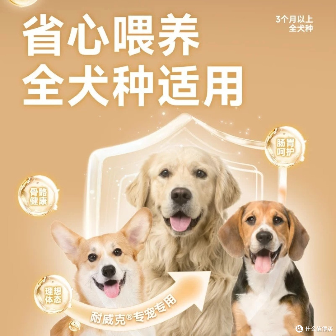 狗粮