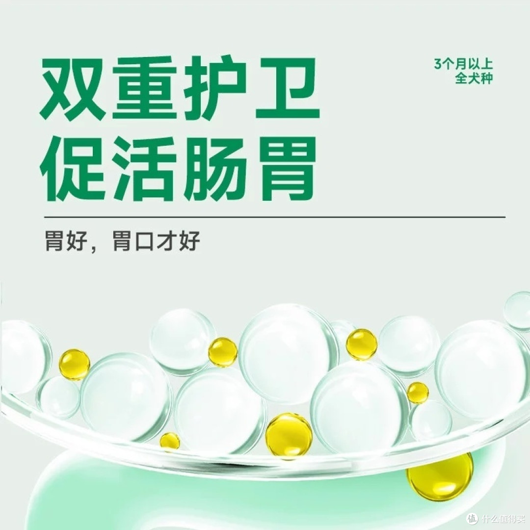 狗粮