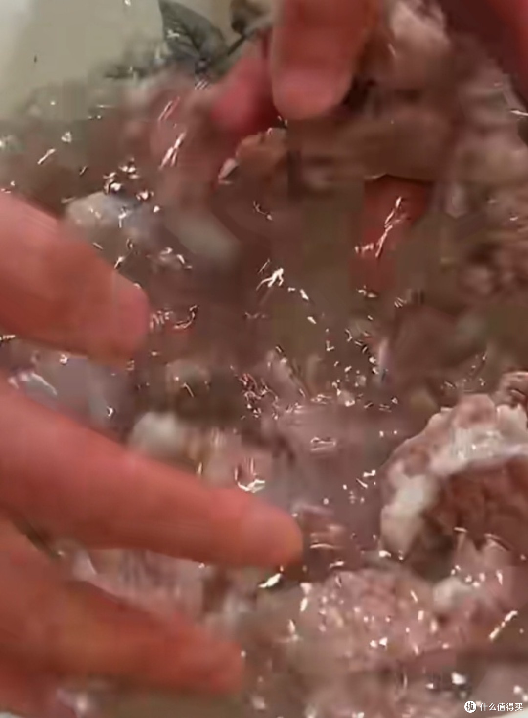 浓情红烧牛肉:味蕾上的醇厚盛宴