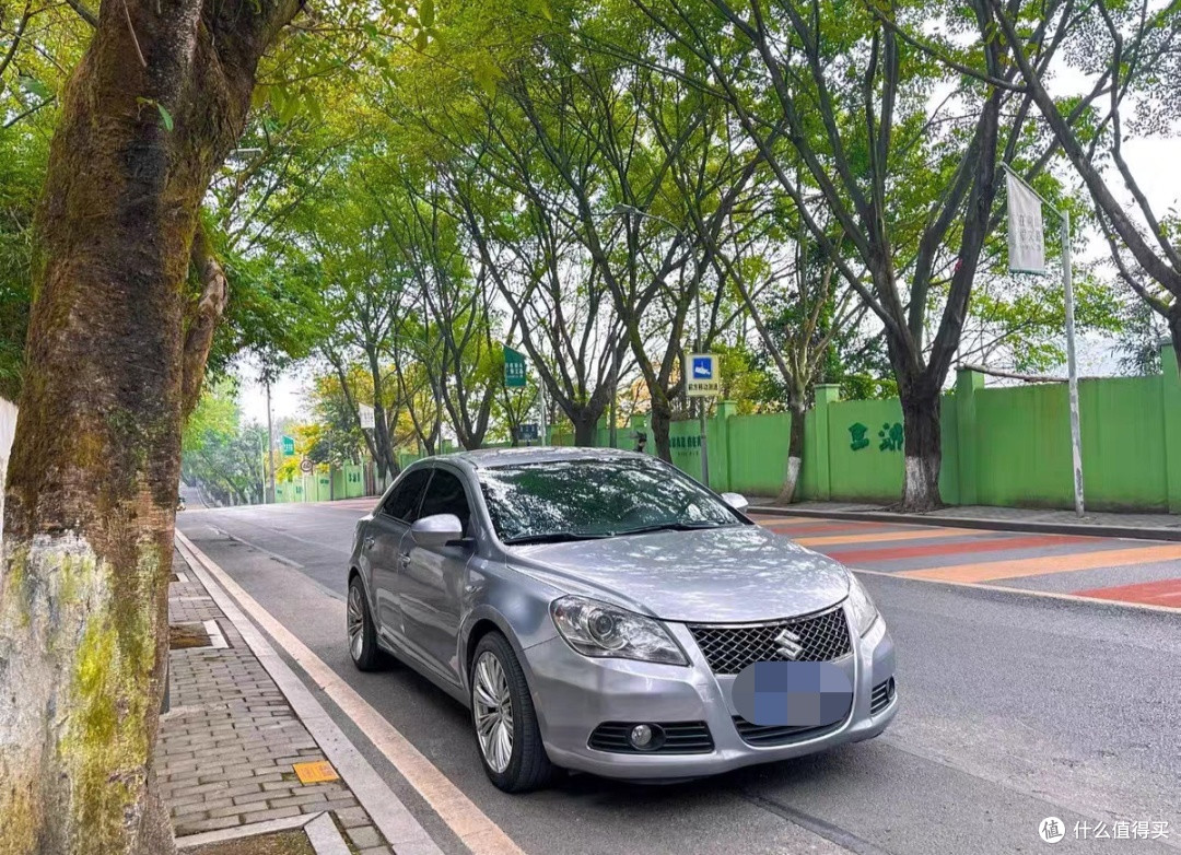 超好看的尾部:铃木凯泽西
