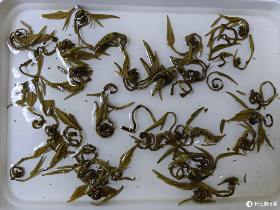 胪雷八窨茉莉龙珠测评,一款不错的茉莉花茶