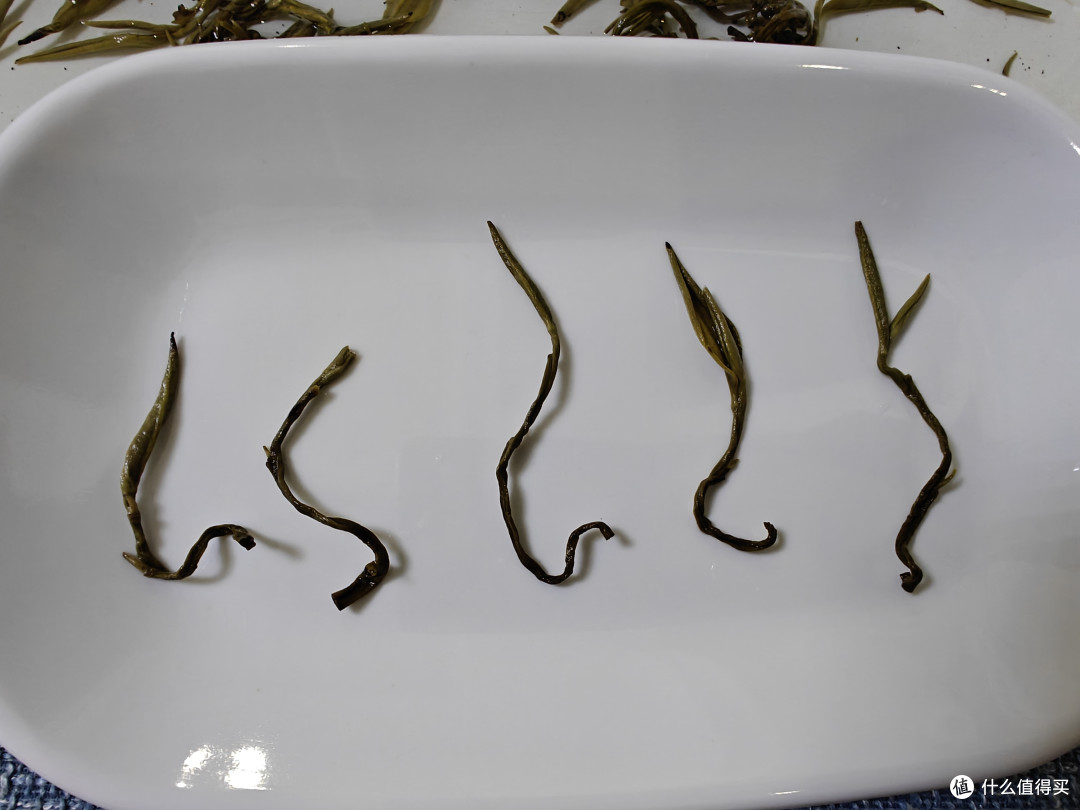 胪雷八窨茉莉龙珠测评,一款不错的茉莉花茶
